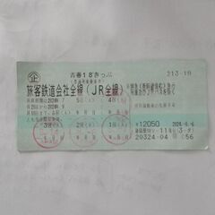 【静岡駅・東静岡駅】青春18きっぷ一回分　有効期限9月10日