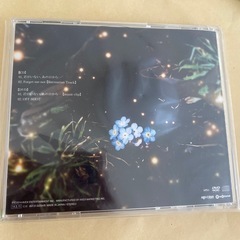 Acid Black Cherry18枚目シングル「君がいない、あの日から…」の画像