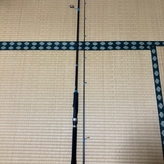 シマノ　ライトゲーム　秋イカセットの画像