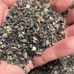大磯砂　　アクアリウム　アクアの画像
