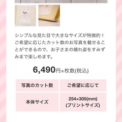 スタジオマリオ　増やせるアルバムの画像