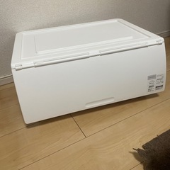 Nフラッテ　レギュラーサイズ
