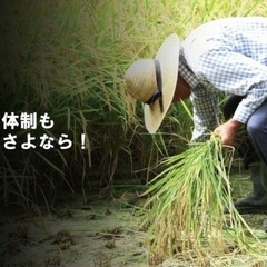 かりとりくん　未使用品の画像