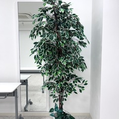 フェイクグリーン　大型