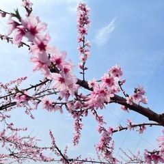 友達欲しいなぁ - 友達