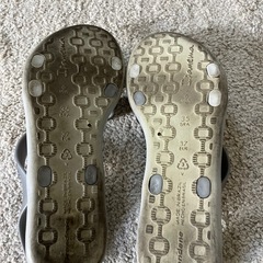 イパネマ シルバービーサンの画像