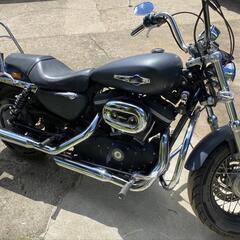 スポーツスター　xl1200　車検長い