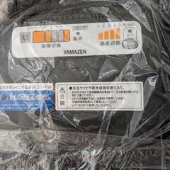 【 R 6・11 / 9 ( 土 )  商談中 】山善『 空気を ｷﾚｲ にする ﾎｯﾄ ｶｰﾍﾟｯﾄ 』 SUS − 202 の画像