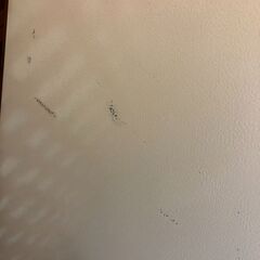 SHARP　シャープ　冷蔵庫　SJ-PD28G　2020年製　ホワイトの画像