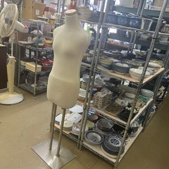 トルソー　美品　　80904