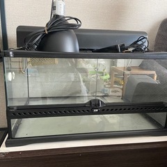 爬虫類ゲージGEX 6030水槽