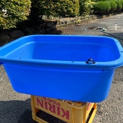角型　タライ　ブルー　80L メダカ　金魚　熱帯魚