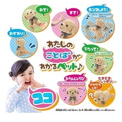 ここちゃん、24このとくぎができるの画像