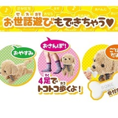 ここちゃん、24このとくぎができるの画像