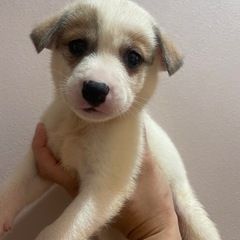 元気いっぱい人が大好きな男の子