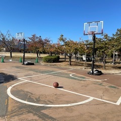 シニアで集まってスポーツを！ - その他
