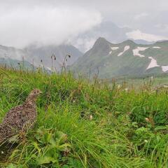 品川、練馬拠点登山サークル - メンバー募集