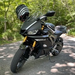 YAMAHA YZF-R25 2019年式　カウル選べます！の画像
