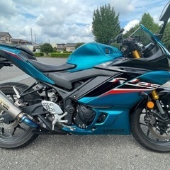 YAMAHA YZF-R25 2019年式　カウル選べます！の画像