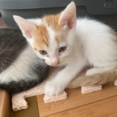 引き取りをして頂いた方々ありがとうございました！