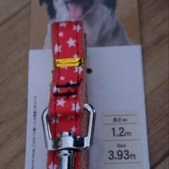 リード　首輪　おもちゃ　犬用の画像