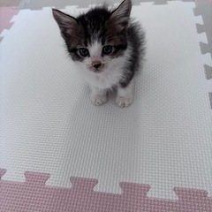 お話中です