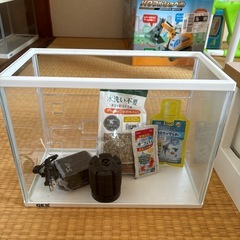 30cm水槽セット②の画像