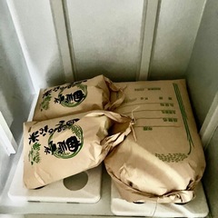 お米 令和5年産　キヌムスメ 玄米　30kg