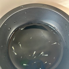 ドラゴンブルー　メダカ　幼魚15匹