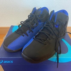 【値下げ】【未使用】asics バスケットボールシューズ 25.0cm