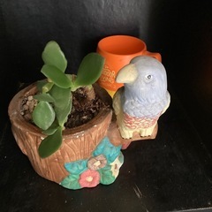 おうむの植木鉢