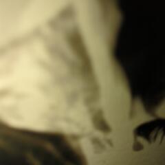 それぞれ50円の画像