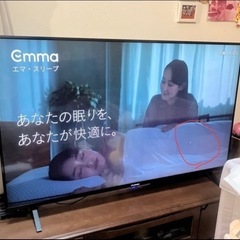期間限定　
FUNAI 55インチ　テレビ  傷ありの画像