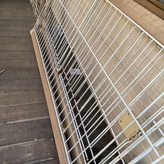 中型犬ゲージ