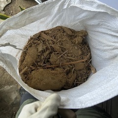 荒土、近隣の方でしたら配達します。の画像