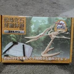 『SOLD』✨新品・未開封✨恐竜化石発掘体験キット『プテラノドン』