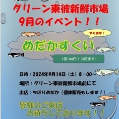 メダカすくい