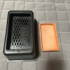 爬虫類　ウエットシェルター　トカゲ　ヘビの画像