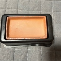 爬虫類　ウエットシェルター　トカゲ　ヘビの画像