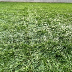 人工芝1m×5mの画像