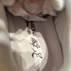 瞬足白　17.0センチの画像