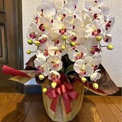 造花 胡蝶蘭