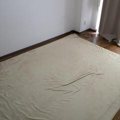 パナソニックのホットカーペット（3畳用）