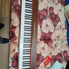 Longeye 電子ピアノ88盤の画像