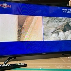 ハイセンス 43V型 液晶 テレビ HJ43K3121