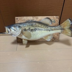 ブラックバス約34cm剥製 値下げ