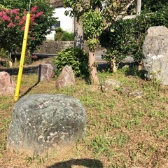 庭石お譲りします。ガーデニング 造園 日本庭園の画像