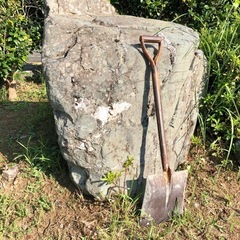 庭石お譲りします。ガーデニング 造園 日本庭園の画像