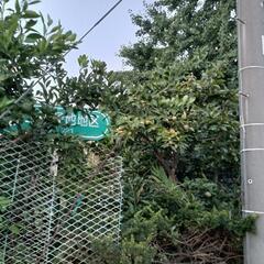 会話カフェで気分転換しましょう LINE電話で 現在2名参加中 次回9/24(火) 10時15分より - チャット