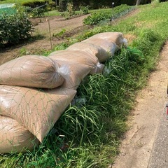 籾殻　10袋程　君津市柳城で引き取り　引き取り早い方優先